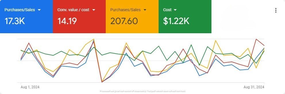Google Ads overview for August 2024, 14.19 conversion value per cost, managed by Isuru Marasinghe